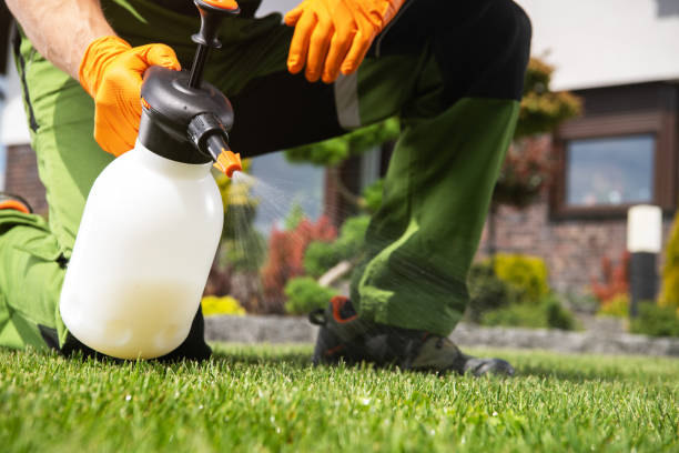 Best Mosquito Control Services  in East Helena, MT