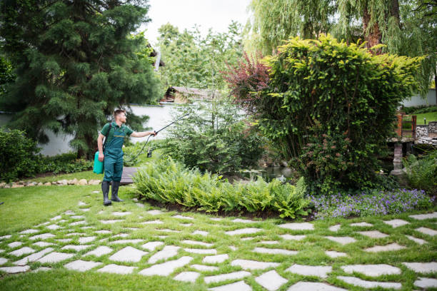 Reliable East Helena, MT Pest Control Solutions