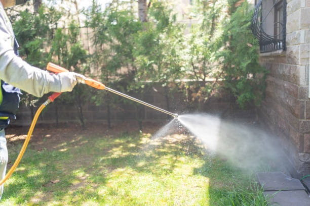 Best Affordable Pest Control Services  in East Helena, MT