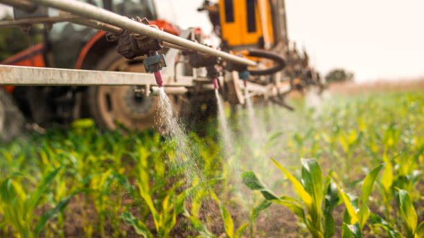 Best Pest Inspection Near Me  in East Helena, MT